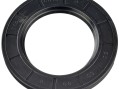 Уплотнительное кольцо для насосов Saer IR4P100-250B Cast Iron (54710220)