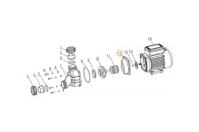 Крышка передняя насоса WPP/WPPE Mayer Schwimmbad A01210034