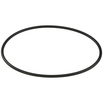  Уплотнительное кольцо корпуса насоса Aquaviva ZWE\WTB 