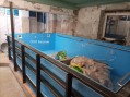 Бассейны из полипропилена в детском центре