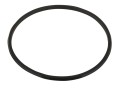  Прокладка-кольцо крышки бочки фильтра San sebastian - RBR 030.A/RFD0100.11R 