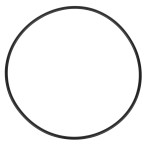  Уплотнительное кольцо корпуса для насоса Aquaviva OS/LP 