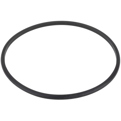  Уплотнительное кольцо крышки префильтра насоса Aquaviva SMP 