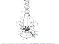 Пробка сливная фильтра Kripsol SL/ST/GL/GT/AK/BL/BR/BT/BC/ - RGR040.A/ RFD0200.10R