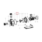  Гайка крыльчатки Aquaviva для насосов серии AFS (89023503) 