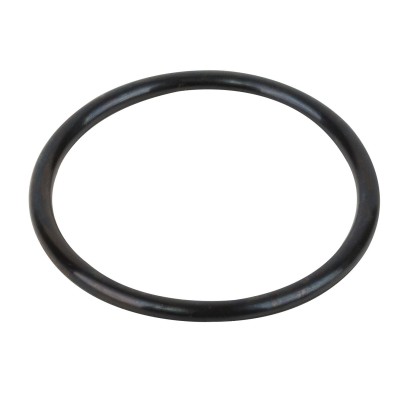  Прокладка-кольцо фланца бочки фильтра Granada RGR030.A\RRFI0003.00R 