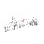  Сальник насоса Aquaviva SMP/XDA 