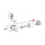  Удерживающее кольцо для двигателя Aquaviva SWIM 025-150 