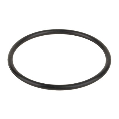 Уплотнительное кольцо Hayward (GMX600F)