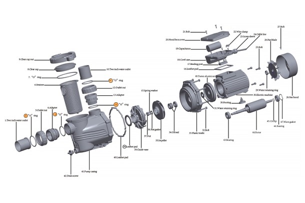 Прокладка-кольцо адаптера муфты d50 насоса HFC 02 (40х3,5) Happy Pump