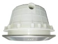  Корпус прожектора Aquaviva PAR56 NP300-S S/S накладка 