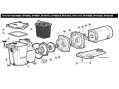 Уплотнительное кольцо Hayward (SPX1600T)