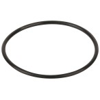 Уплотнительное кольцо крышки префильтра насоса Hayward (RPUM0003.09R)