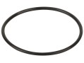 Уплотнительное кольцо крышки префильтра насоса Hayward (RPUM0003.09R)