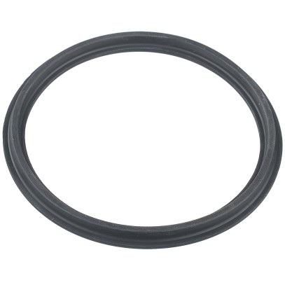  Уплотнительное кольцо Hayward муфты RS II (RSX750N) 
