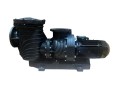 Насос для бассейна Aquaviva LX SEQ1000 (122м³/ч 7.36кВт 380В)