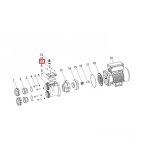  Поплавок для насоса Aquaviva XDA 