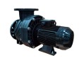Насос для бассейна Aquaviva LX WEQ2000 (185м³/ч 14.71кВт 380В) Насос для бассейна Aquaviva LX WEQ2000 (185м³/ч 14.71кВт 380В)