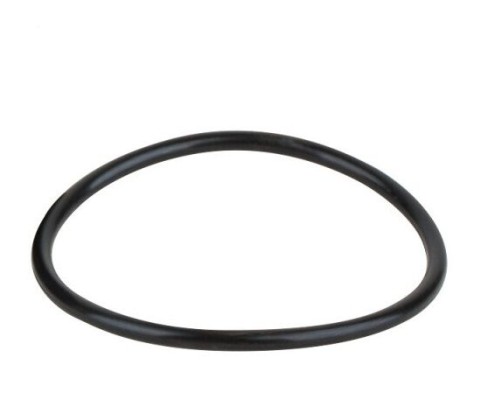 Уплотнительная резинка для насосов KAN Kripsol BC/BCP500-1250/BCG/BCPG (RBH0015.02R) Уплотнительная резинка для насосов KAN Kripsol BC/BCP500-1250/BCG/BCPG (RBH0015.02R)