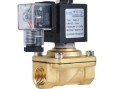 Клапан соленоидный Aquaviva 2W31 Латунь, DN50-G2 120℃ d50 AC220V Клапан соленоидный Aquaviva 2W31 Латунь, DN50-G2 120℃ d50 AC220V