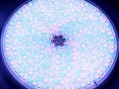 Лампа светодиодная для прожектора Aquaviva 546LED 33Вт RGB