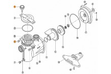 Болт с гайкой  крышки префильтра  насоса NK Kripsol  RPUM0001.00R