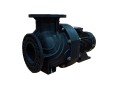 Насос для бассейна Aquaviva LX WEQ750 (100м³/ч 5.52кВт 380В)