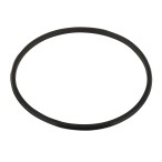  Резинка уплотнительная под муфту накидную для насосов Aquaviva серии SS/SD (2011104) 