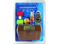 Игра В поисках затонувших сокровищ  Swimline  9179
