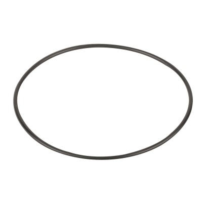  Прокладка-кольцо крышки префильтра насоса Kripsol KAP - RKA 030.A/RBH0011.05R 