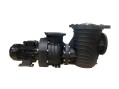 Насос для бассейна Aquaviva LX SEQ2500 (192м³/ч 18.39кВт 380В) Насос для бассейна Aquaviva LX SEQ2500 (192м³/ч 18.39кВт 380В)