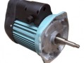 Двигатель к насосу SB15 (220В) Emaux  89021302