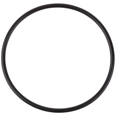  Резиновая прокладка под крышку AquaViva SB (02011085/02010248) 