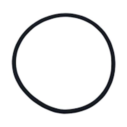 Уплотнительное кольцо для ячейки хлоратора Hayward (GLX-UN-ORINGE) Уплотнительное кольцо для ячейки хлоратора Hayward (GLX-UN-ORINGE)