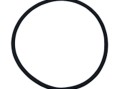 Уплотнительное кольцо для ячейки хлоратора Hayward (GLX-UN-ORINGE)