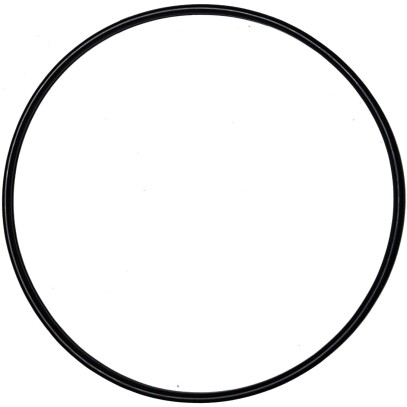  Резиновая прокладка под 6-позиционный кран фильтров Aquaviva V350 - V700 (02011134) 