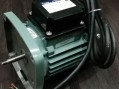 Двигатель к насосу SS075 (220В) Emaux 89022106