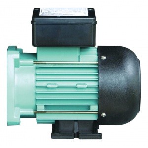 Двигатель к насосу SS100 (220В) Emaux 89022107