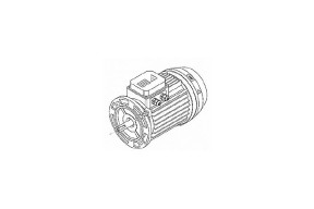Двигатель к насосу бронзовому 0,75kw 380V (12080400)