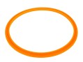 Уплотнительное кольцо AquaViva прожектора LED/UL-P100 2021004