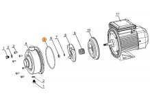 Прокладка-кольцо крышки задней насоса DWK  Mayer Schwimmbad LX F02030027