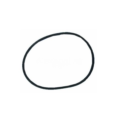  Прокладка-кольцо для крышки бочки фильтра BL BRASIL (RBK 030.A/500311000301/RCFI0003.01R) 