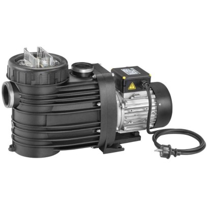 Насос Speck BADU TOP ІІ/12 (220 В, 11 м3/ч, 0.45 кВт) Насос Speck BADU TOP ІІ/12 (220 В, 11 м3/ч, 0.45 кВт)