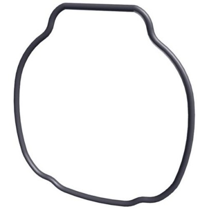  Прокладка Hayward TriStar (SPX3200T) 