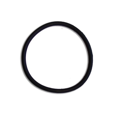  Уплотнительное кольцо Hayward Power-Flo II/ PowerLine (SPX8100S) 