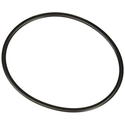  Уплотнительное кольцо для крышки хлоратора Hayward SPX3000SV 