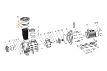 Прокладка-кольцо крышки префильтра насоса SLP400-1000T Mayer Schwimmbad F02010111