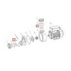 Уплотнительное кольцо соединительной муфты насоса Aquaviva JA