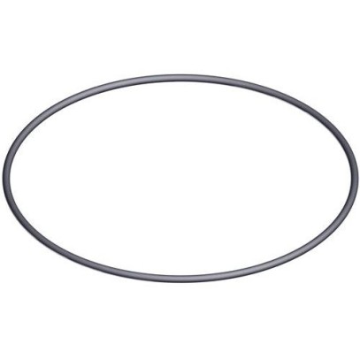  Уплотнительное кольцо под крышку 6-ти поз.вентиля 2