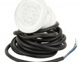 Цветная запасная лампа Aquaviva для LED-P10 (88041939) Цветная запасная лампа Aquaviva для LED-P10 (88041939)